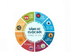 Bánh xe cuộc đời